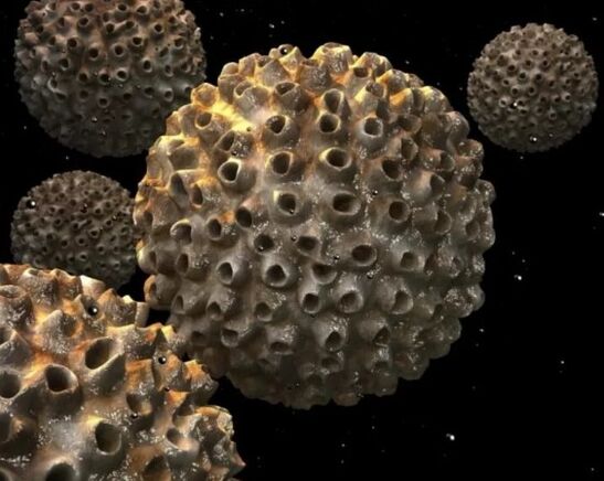 Virus du papillome